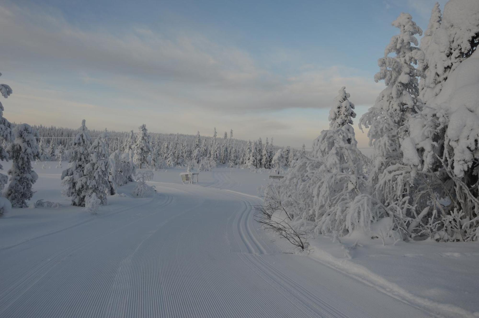 16 - Fulufjellets Nasjonalparker - Natur-, Dyre- Og Fugleopplevelser Ljørdal Extérieur photo
