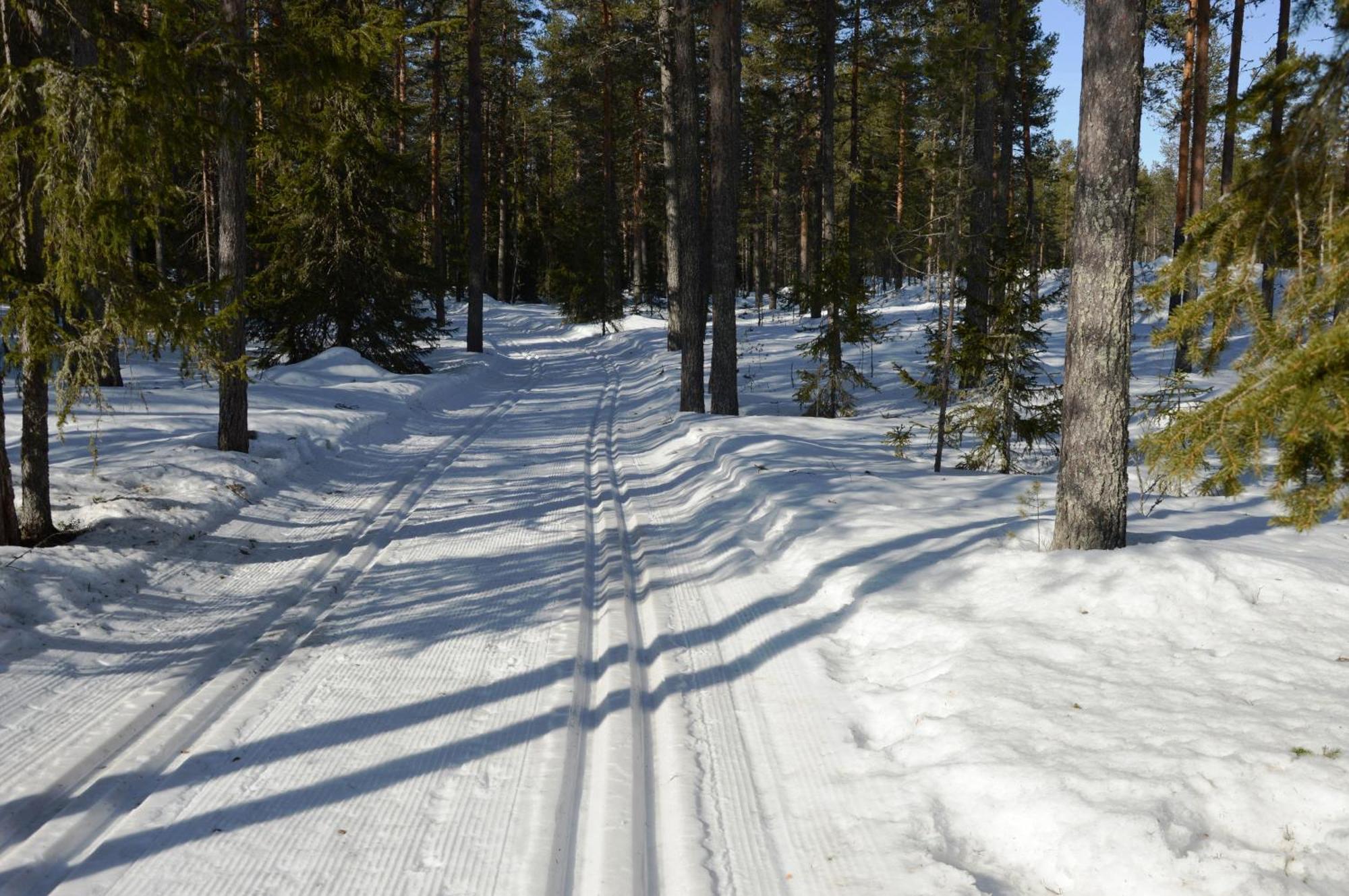 16 - Fulufjellets Nasjonalparker - Natur-, Dyre- Og Fugleopplevelser Ljørdal Extérieur photo