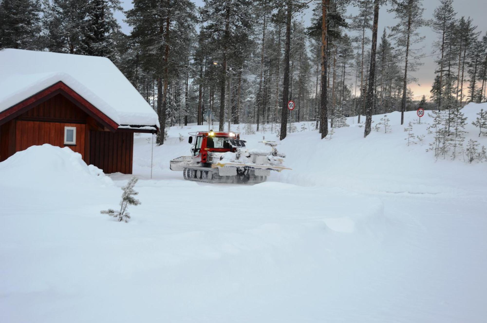 16 - Fulufjellets Nasjonalparker - Natur-, Dyre- Og Fugleopplevelser Ljørdal Extérieur photo