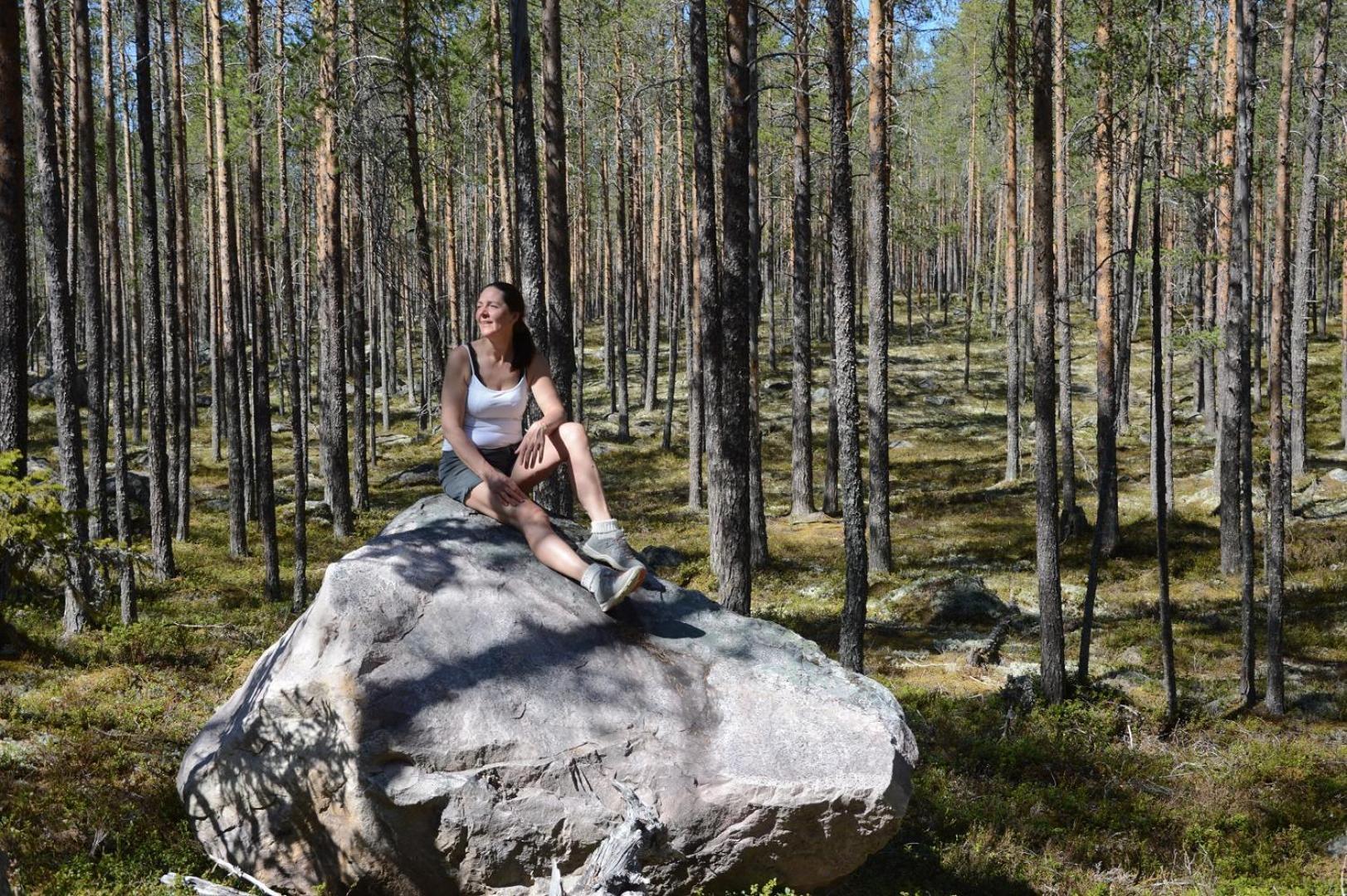 16 - Fulufjellets Nasjonalparker - Natur-, Dyre- Og Fugleopplevelser Ljørdal Extérieur photo