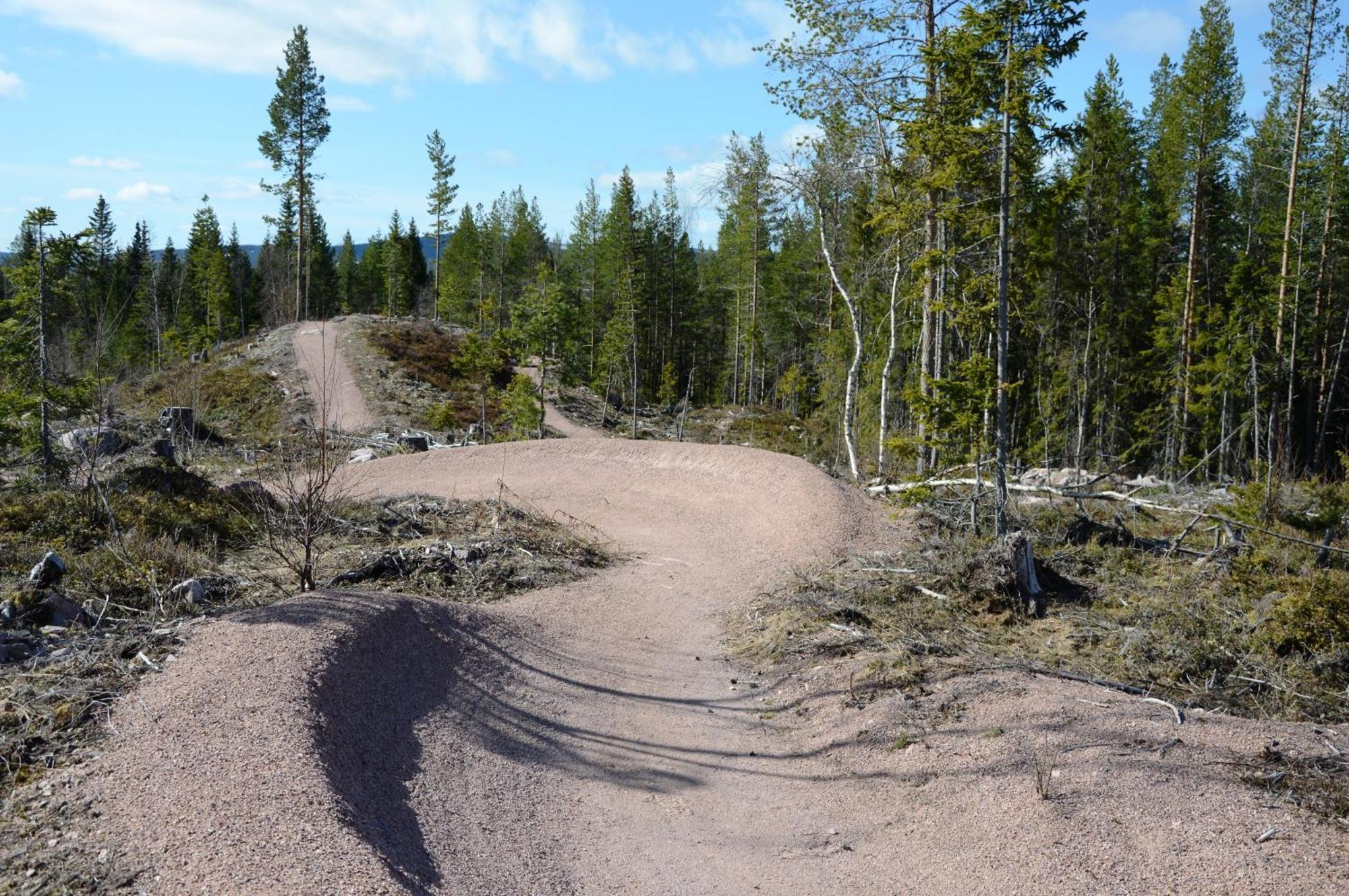 16 - Fulufjellets Nasjonalparker - Natur-, Dyre- Og Fugleopplevelser Ljørdal Extérieur photo