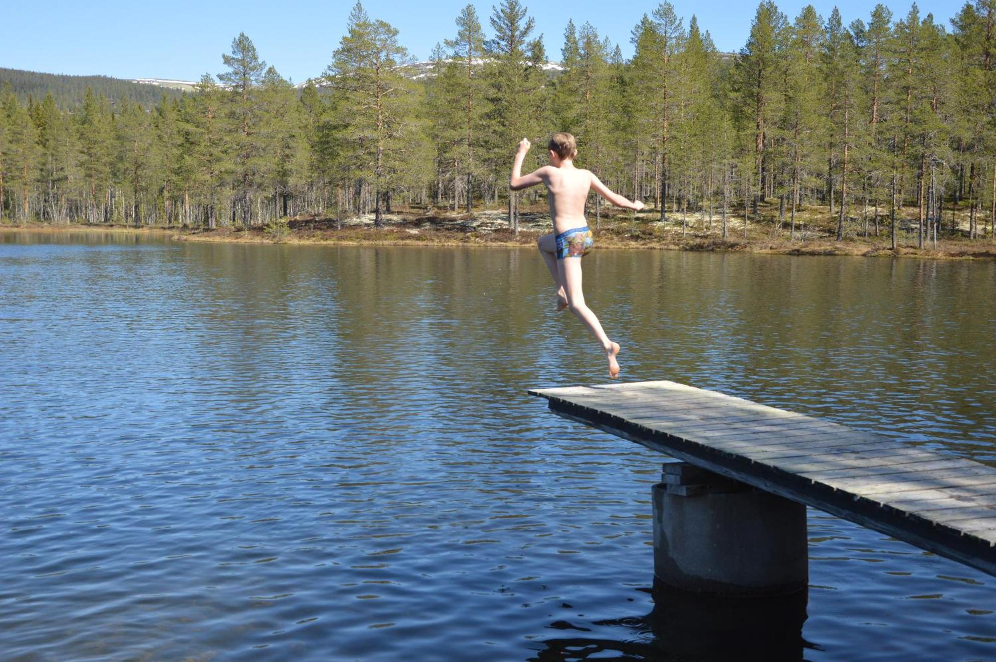 16 - Fulufjellets Nasjonalparker - Natur-, Dyre- Og Fugleopplevelser Ljørdal Extérieur photo