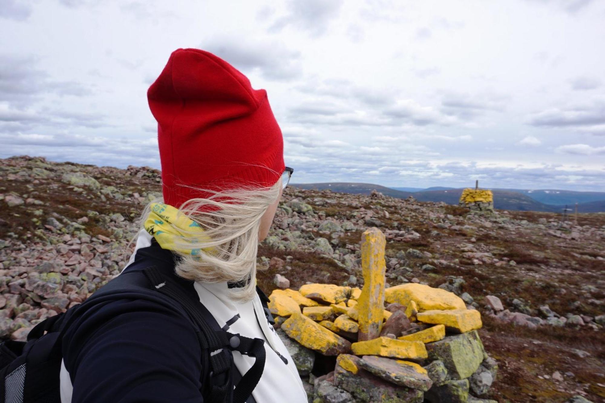 16 - Fulufjellets Nasjonalparker - Natur-, Dyre- Og Fugleopplevelser Ljørdal Extérieur photo