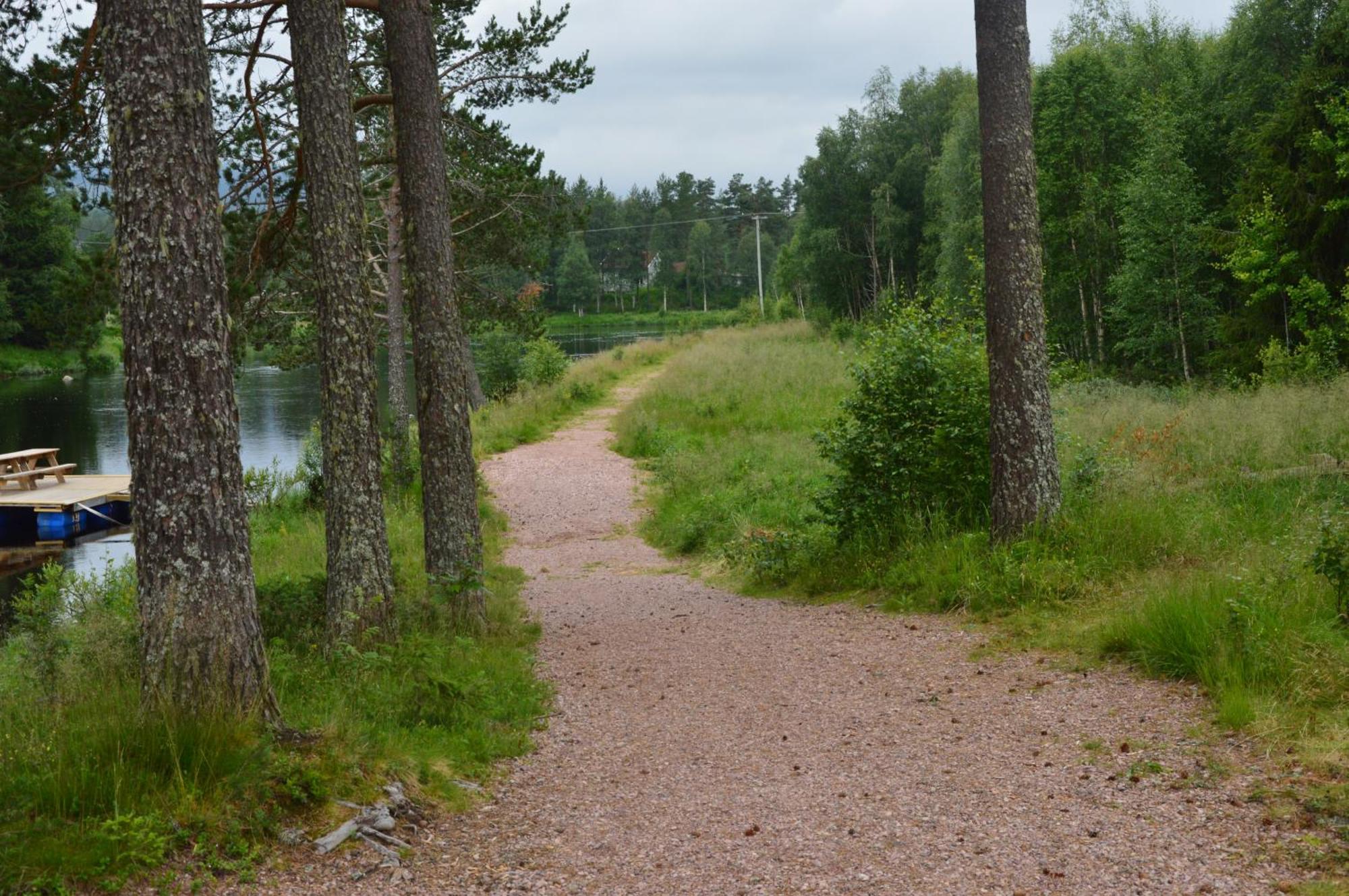 16 - Fulufjellets Nasjonalparker - Natur-, Dyre- Og Fugleopplevelser Ljørdal Extérieur photo
