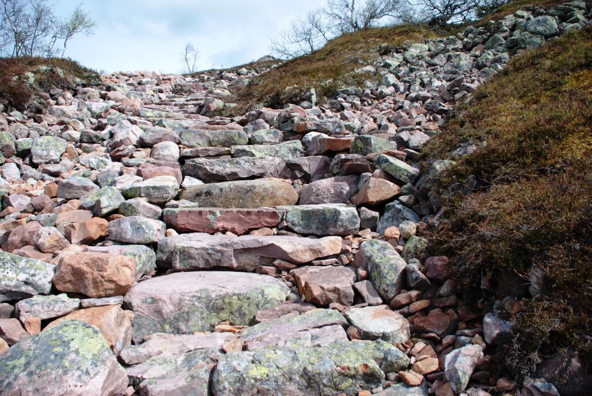 16 - Fulufjellets Nasjonalparker - Natur-, Dyre- Og Fugleopplevelser Ljørdal Extérieur photo