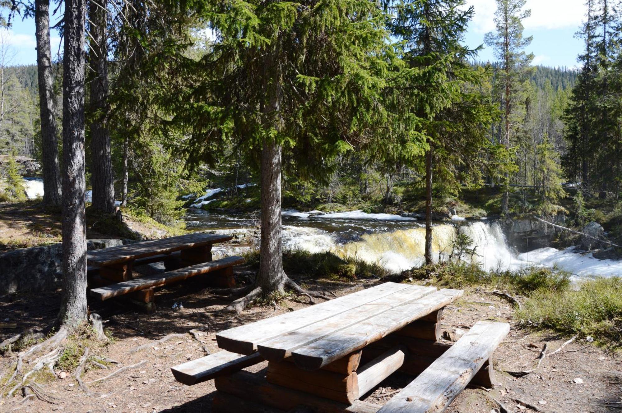 16 - Fulufjellets Nasjonalparker - Natur-, Dyre- Og Fugleopplevelser Ljørdal Extérieur photo