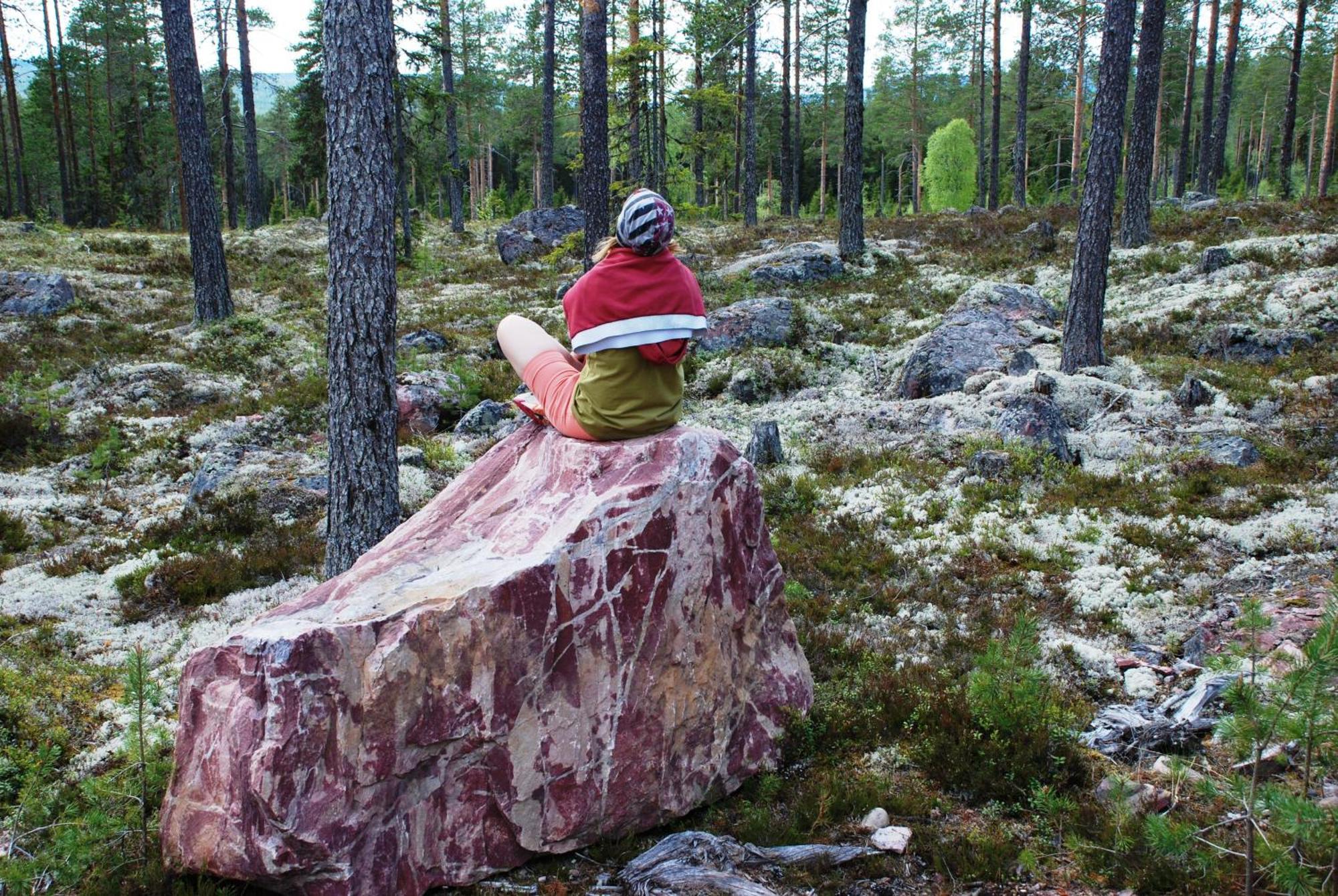 16 - Fulufjellets Nasjonalparker - Natur-, Dyre- Og Fugleopplevelser Ljørdal Extérieur photo
